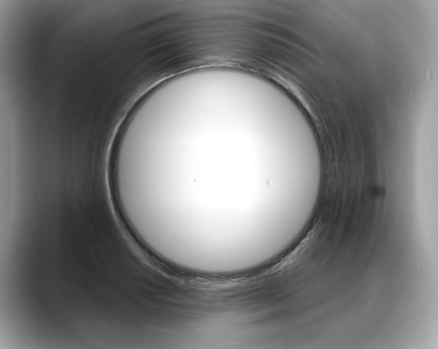X0000088691034200705310954