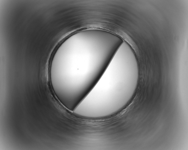 X0000088691036200705310954