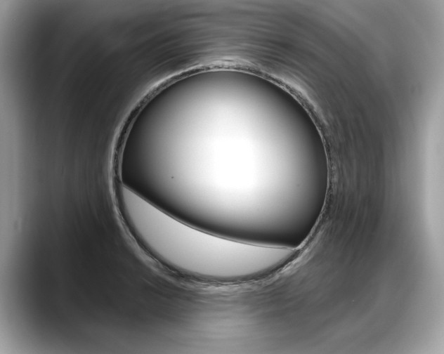 X0000088691038200705310954