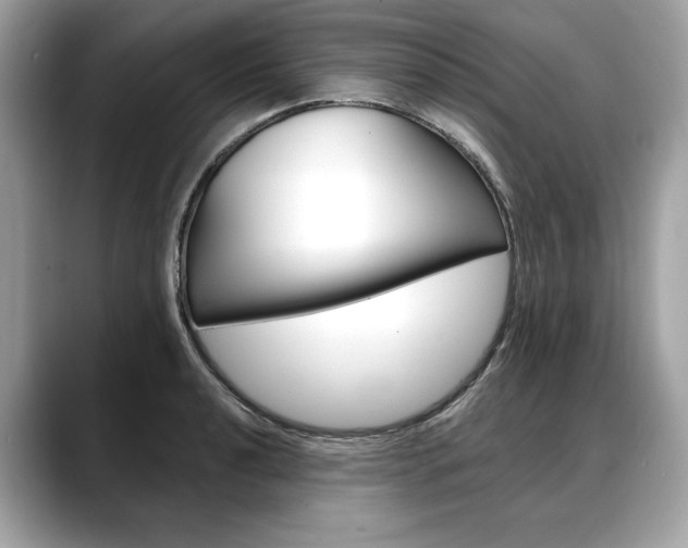 X0000088691040200705310954