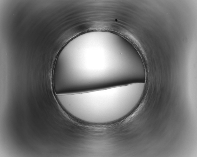 X0000088691041200705310954