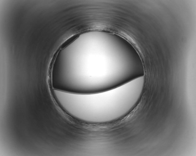 X0000088691042200705310954