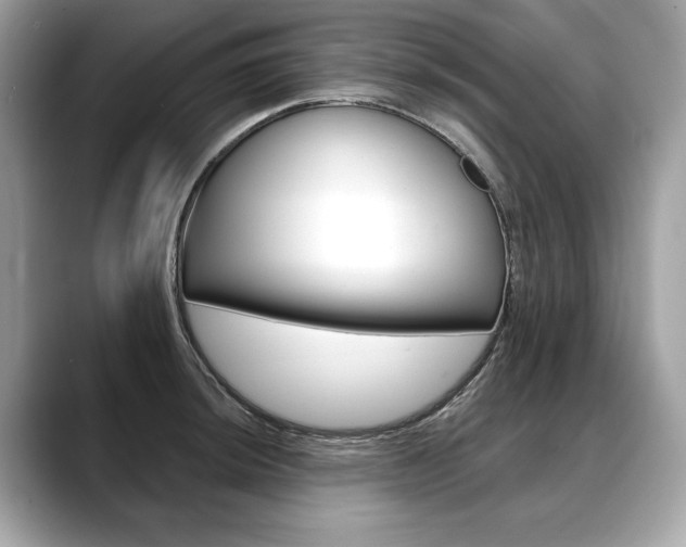 X0000088691044200705310954