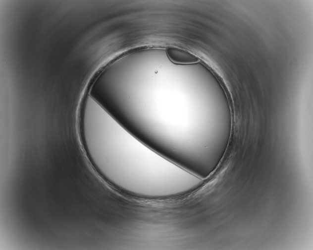 X0000088691045200705310954