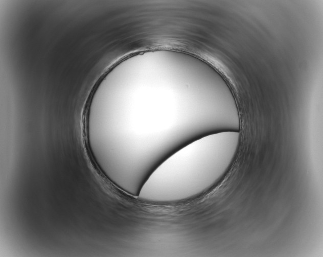 X0000088691047200705310954