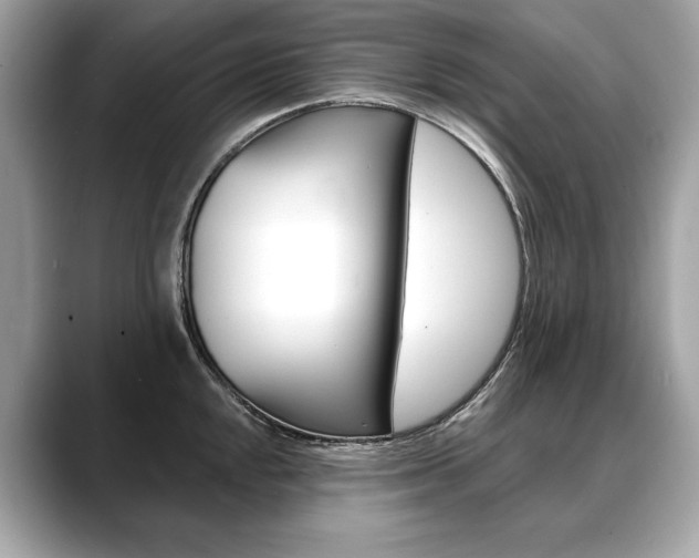 X0000088691048200705310954