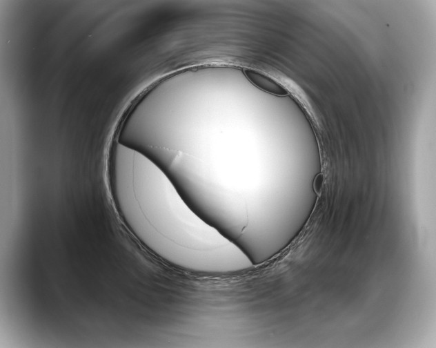 X0000088691051200705310954
