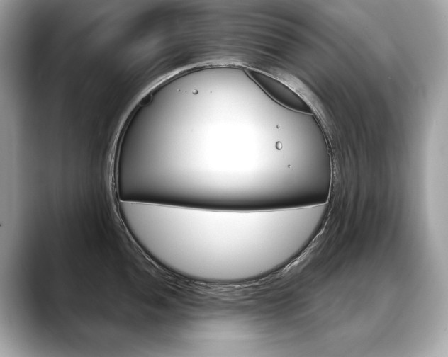 X0000088691052200705310954