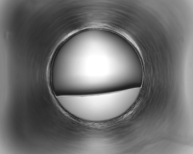 X0000088691053200705310954