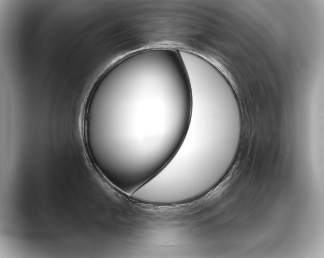 X0000088691054200705310954