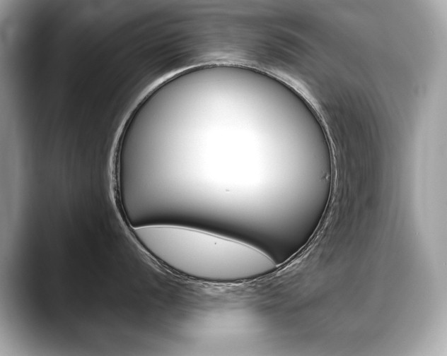 X0000088691056200705310954