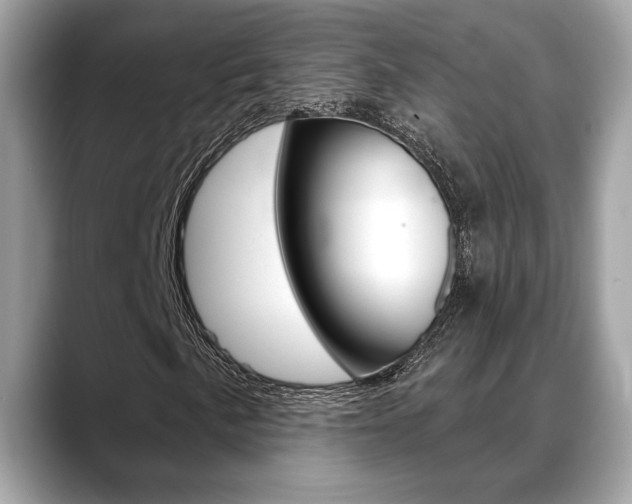 X0000088691057200705310954