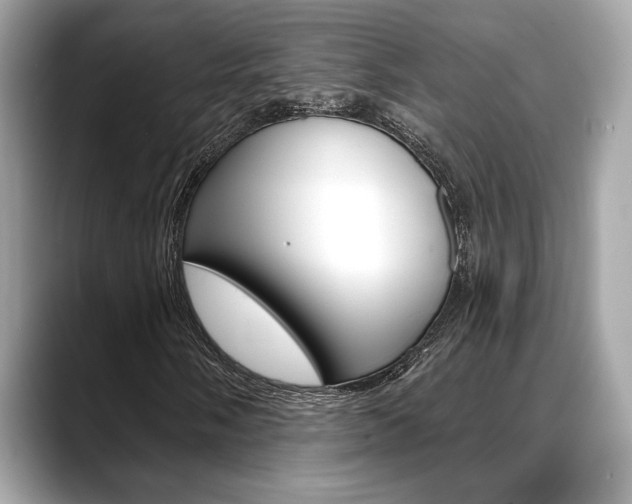 X0000088691058200705310954