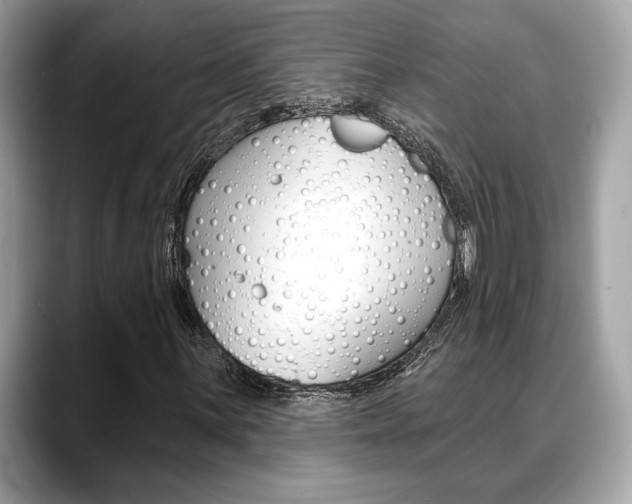 X0000088691059200705310954
