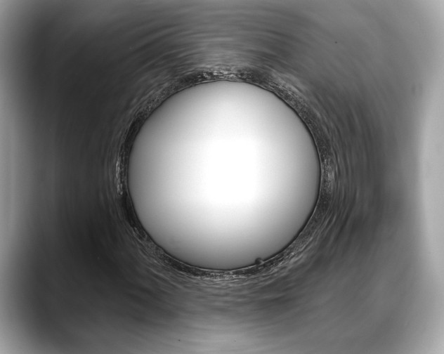 X0000088691060200705310954