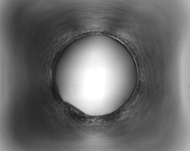 X0000088691061200705310954
