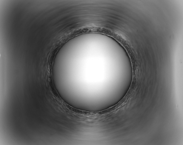 X0000088691062200705310954