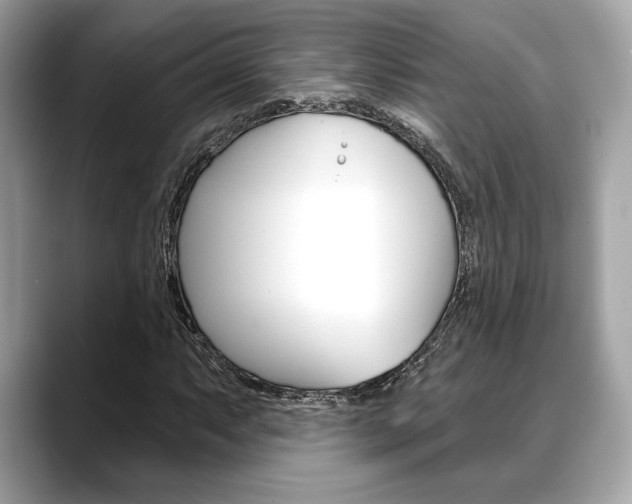 X0000088691063200705310954