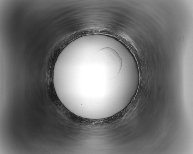X0000088691064200705310954