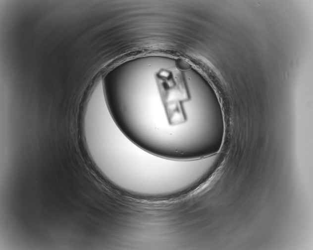 X0000088691065200705310954