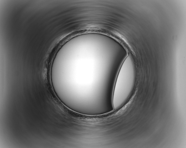 X0000088691066200705310954