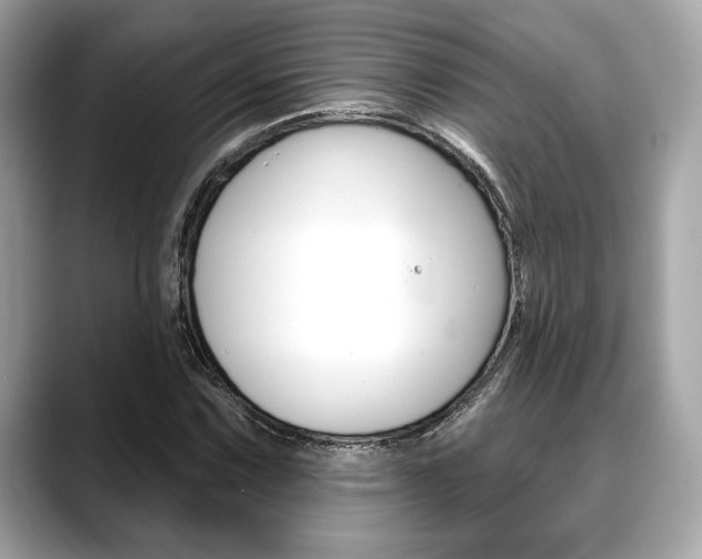 X0000088691067200705310954