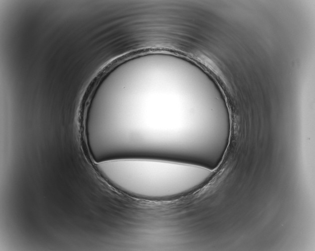 X0000088691068200705310954