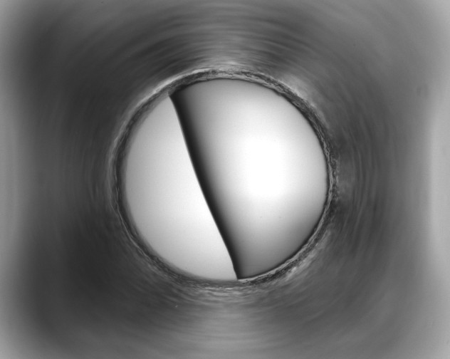 X0000088691070200705310954