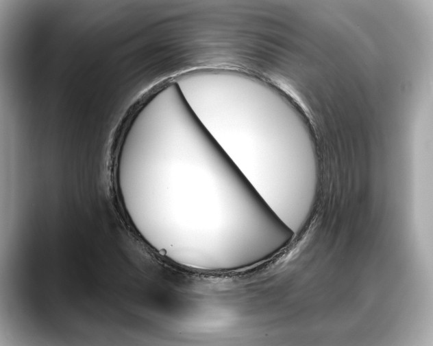 X0000088691071200705310954