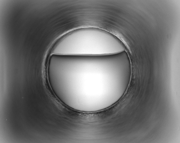 X0000088691072200705310954