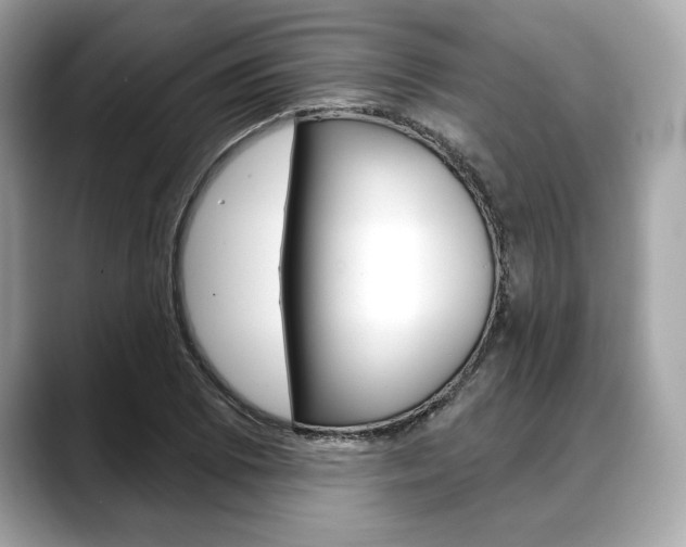 X0000088691073200705310954