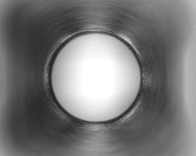 X0000088691074200705310954