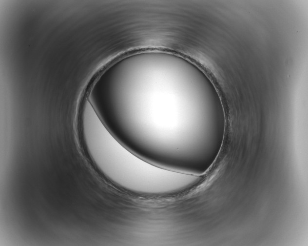 X0000088691077200705310953