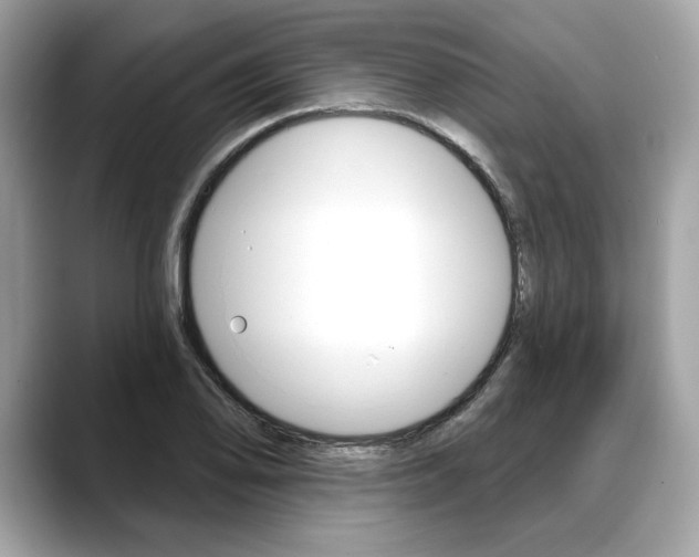 X0000088691078200705310953