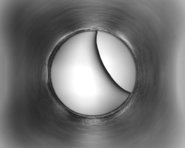 X0000088691079200705310953