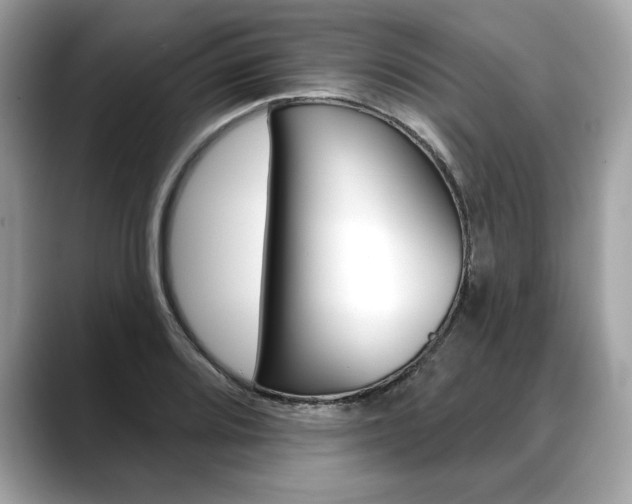 X0000088691080200705310953
