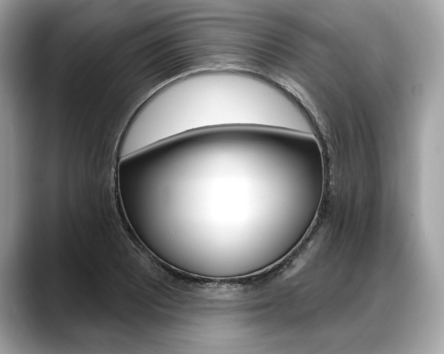 X0000088691081200705310953