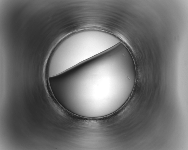 X0000088691082200705310953