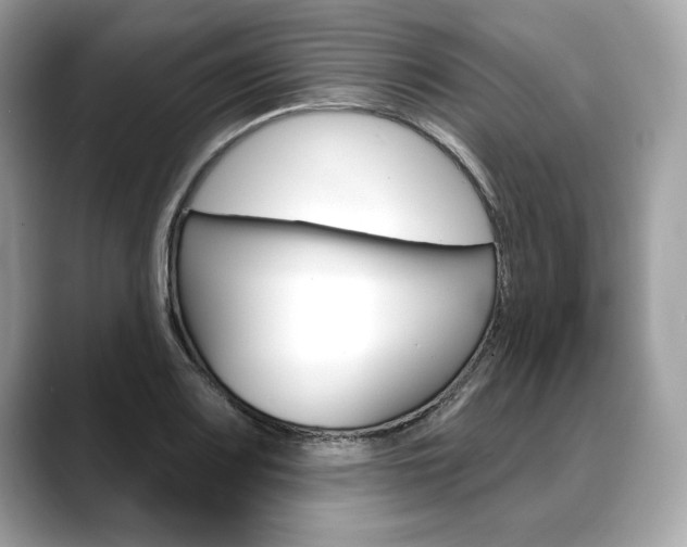 X0000088691083200705310953