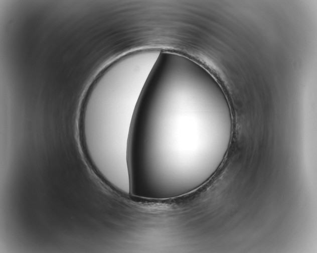 X0000088691085200705310953