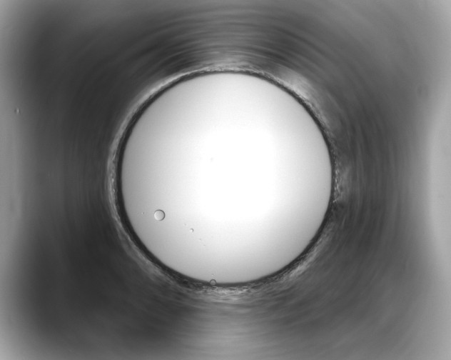 X0000088691086200705310953
