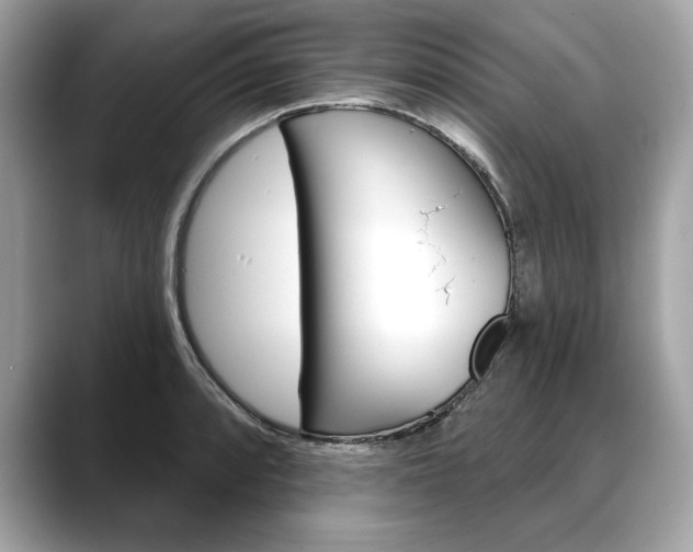 X0000088691088200705310953