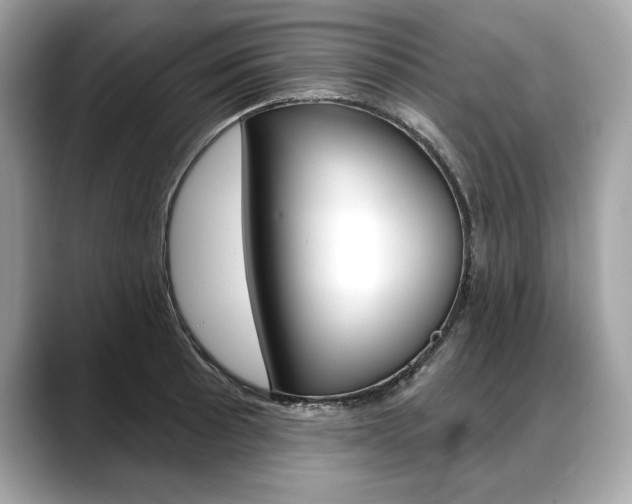 X0000088691089200705310953