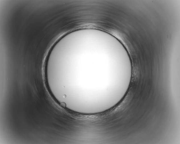 X0000088691090200705310953