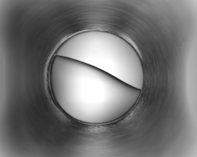 X0000088691091200705310953