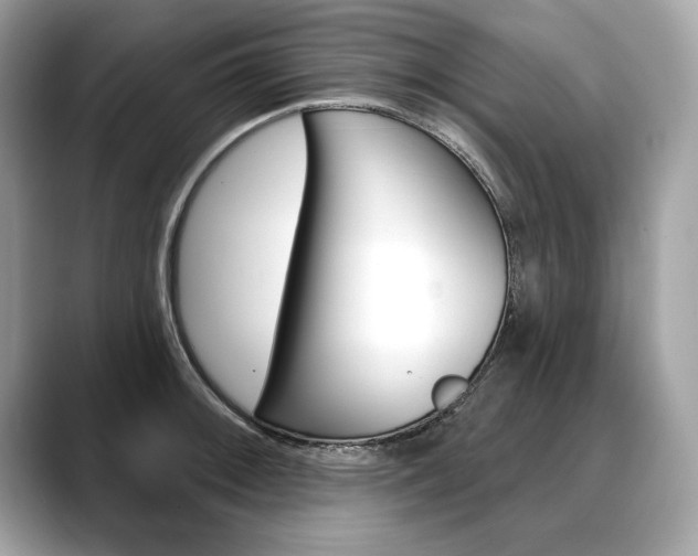 X0000088691092200705310953