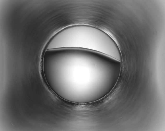 X0000088691093200705310953