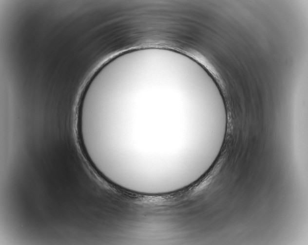 X0000088691094200705310953