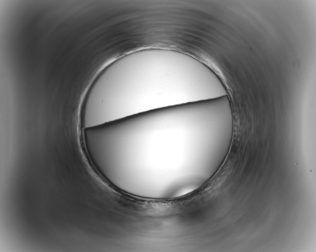 X0000088691095200705310953
