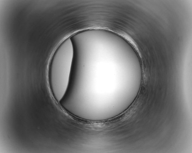 X0000088691096200705310953